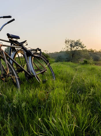 Hyr cyklar på hotellet och upptäck Öland på ett spännande sätt!