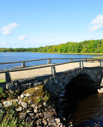 Ta chansen att utforska Smålands natur och den närliggande Åsnens nationalpark.
