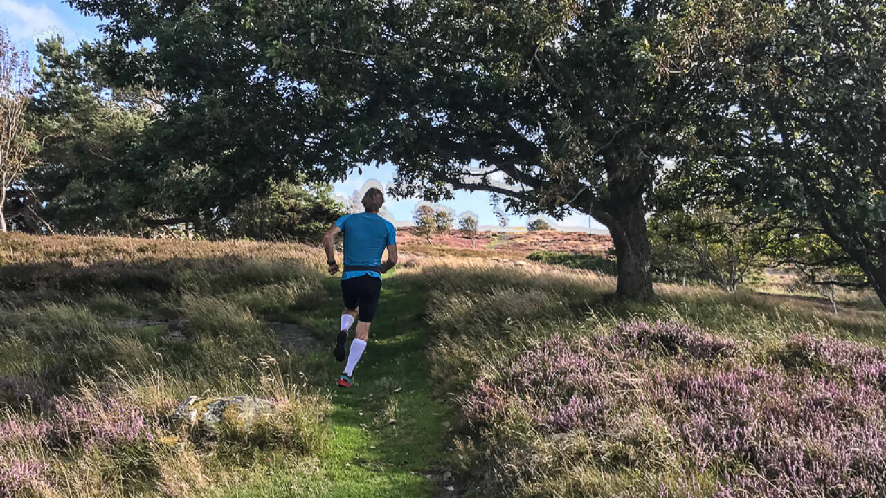 In der Nähe des Hotels gibt es mehrere Naturschutzgebiete, sodass Sie Wanderungen und Radtouren unternehmen können.