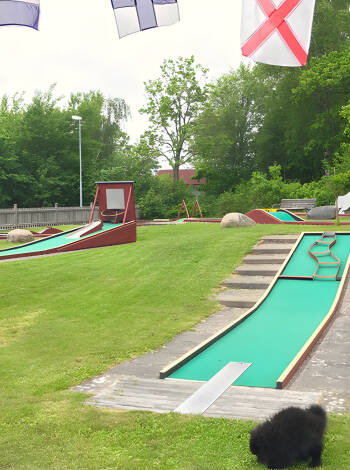 Während Ihres Aufenthaltes können Sie im Hotel Minigolf spielen und in der Nähe finden Sie auch mehrere „echte“ Golfplätze.