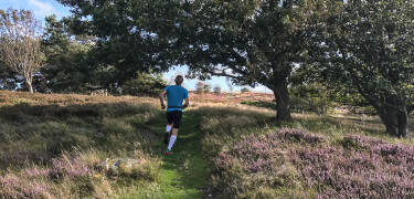 Det finns flera naturskyddsområden i närheten där ni kan promenera eller ta en joggingtur om ni är hurtiga