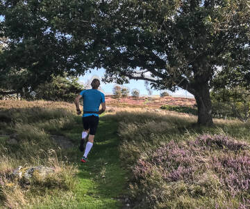 Det er flere værnede naturområder i nærheten av hotellet, med gode muligheter for vandre- og sykkelturer.