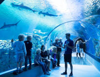 Besök Nordeuropas största akvarium, Den Blå Planet, som ligger bara några få kilometer från hotellet