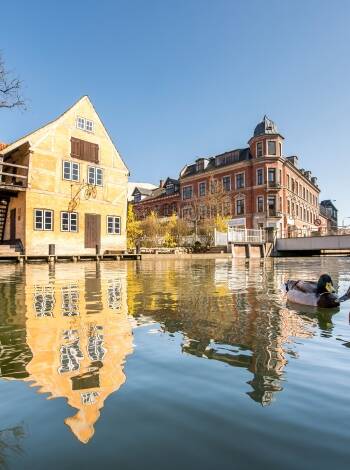 Rent a bicycle or hop on nearby buses to explore Aarhus' sights and neighbourhoods with ease.