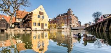 Lei en sykkel eller ta bussen rett i nærheten for å utforske Aarhus’ severdigheter og nabolag enkelt.