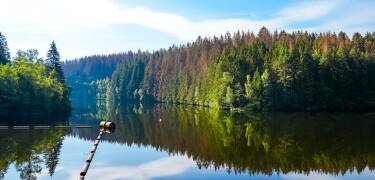Oker reservoiret er et besøg værd. Det er et af de største reservoirer i Niedersachsen.