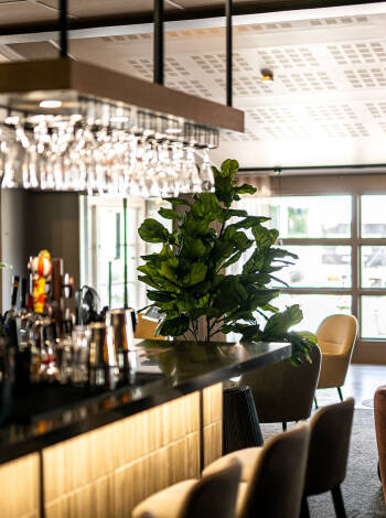 Efter en lång och upplevelserik dag kan ni runda av dagen med en drink i hotellets bar