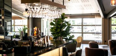 Efter en lång och upplevelserik dag kan ni runda av dagen med en drink i hotellets bar