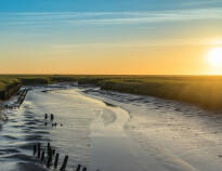 Explore the North West German Wadden Sea and walk on the seabed, enjoy guided tours and go on exciting excursions.