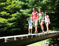 Harzen är full av vacker natur och spännande upplevelser för hela familjen.