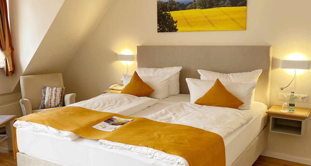 Double Room Economy