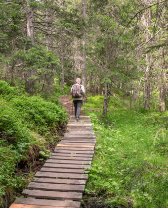 The border area with Austria, Italy and Switzerland is an extremely popular hiking area.