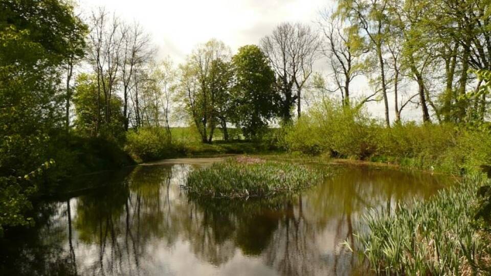 Gutshaus Harkensee ligger omgivet av vacker och fredad natur och har sin egen park