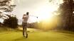 För golfintresserade erbjuds goda möjligheter att utmana ressällskapet på en runda eller två, med flera golfbanor i närheten.