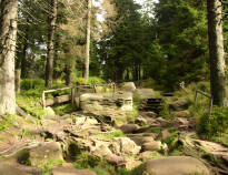 Harz Nationalpark är perfekt för vandring, speciellt om ni vill njuta av den underbara naturen.
