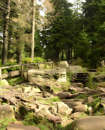 Der Nationalpark Harz ist die perfekte Gegend zum Wandern, während Sie die wunderschöne Landschaft genießen.