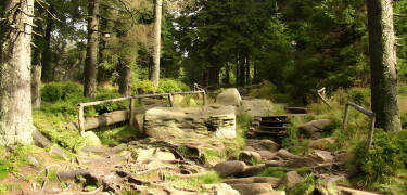 National Park Harz er det perfekte sted at vandre, hvor I samtidig kan nyde den smukke natur.