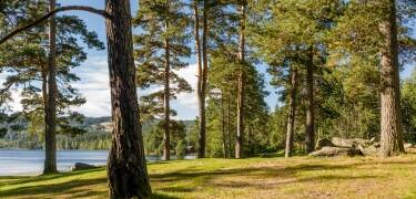 Vandra längs leden Baeria Runt, där ni bland annat passerar några av områdets mest populära badstränder.
