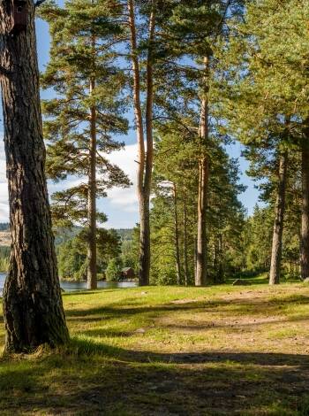 The rooms are decorated with comfort in mind and provide a cosy setting for your stay in Kongsvinger.