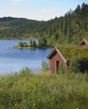 Dere bor i kort avstand til naturen.