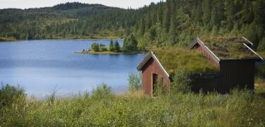 Dere bor i kort avstand til naturen.