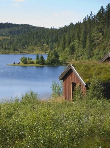 Närområdet har mycket att erbjuda! Upplev Kongsvinger Fästning eller ta en tur till Kongsvinger simhall.