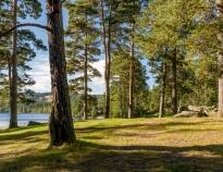 Gå en tur på stien rundt Bæreia-innsjøen hvor dere finner noen av områdets mest populære badesteder.