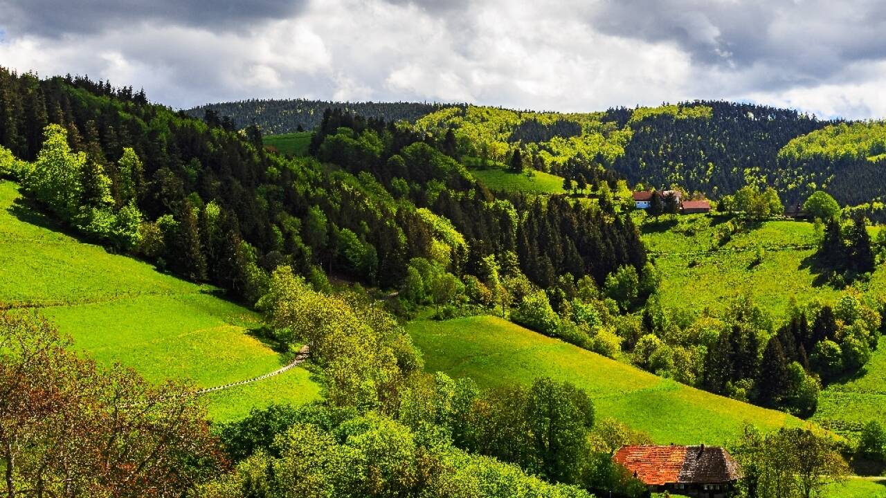 Hotel Bären ligger i det vackra och mycket populära området Schwarzwald med sin vackra natur.