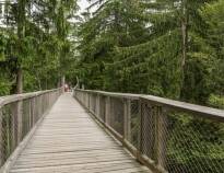 Endast 1,5 km från hotellet ligger Baumwipfelpfad, en utsiktsplattform bland trädtopparna där ni har en fantastisk utsikt över området.