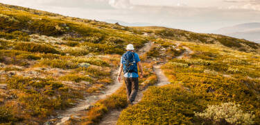 Her finner dere massevis av aktiviteter året rundt. Oppdag naturen gjennom å gå tur eller låne sykler på hotellet.