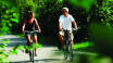 De naturskønne omgivelser og hundredvis af cykelstier er perfekt til en aktiv ferie.