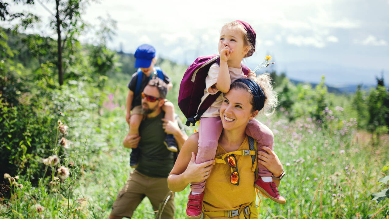 Familievennlige turer i Lifjell – følg merkede stier rundt Jønnbu og Store Trytetjønn.