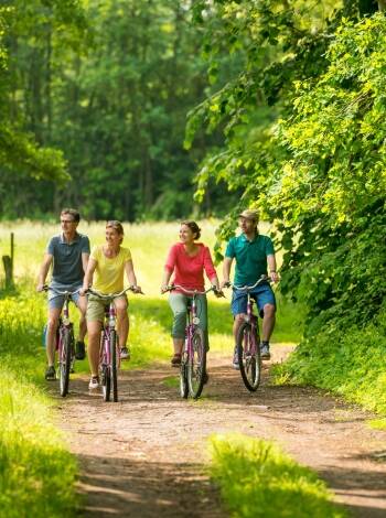 Upptäck det charmiga landskapet i Nordheide på cykel eller till fots: regionalparken Rosengarten och den långa cykelleden Hamburg–Bremen erbjuder många sätt att uppleva naturen.