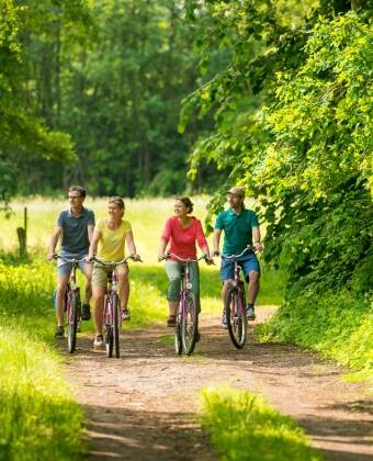 Explore the charming landscape of the Nordheide by bike or on foot: Rosengarten Regional Park and the Hamburg-Bremen long-distance cycle route offer a wide range of opportunities to enjoy nature.