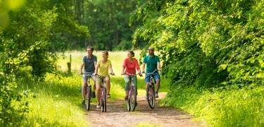 Entdecken Sie die reizvolle Landschaft der Nordheide mit dem Fahrrad oder zu Fuß: Der Regionalpark Rosengarten und der Radfernweg Hamburg-Bremen bieten Ihnen vielfältige Möglichkeiten, die Natur zu genießen.
