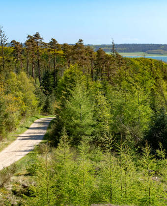 Stay in the heart of Thy National Park. Stenbjerg Kro is perfect for walking and cycling in scenic protected areas.