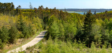 Wohnen Sie im Herzen des Nationalparks Thy. Stenbjerg Kro ist ideal zum Wandern und Radfahren in malerischen Naturschutzgebieten.