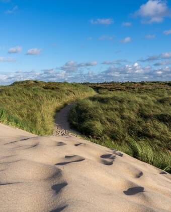 The nearby dunes and wide beaches offer unforgettable experiences in every season.