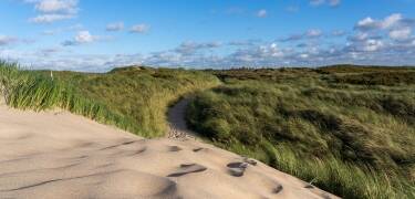 Die nahegelegenen Dünen und breiten Strände bieten unvergessliche Erlebnisse zu jeder Jahreszeit.