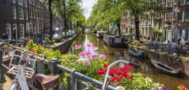 Übernachten Sie in der Nähe von Amsterdams wichtigsten Sehenswürdigkeiten mit exzellenten Verkehrsverbindungen.