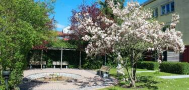 Der Garten ist perfekt für nette Treffen und Gespräche.