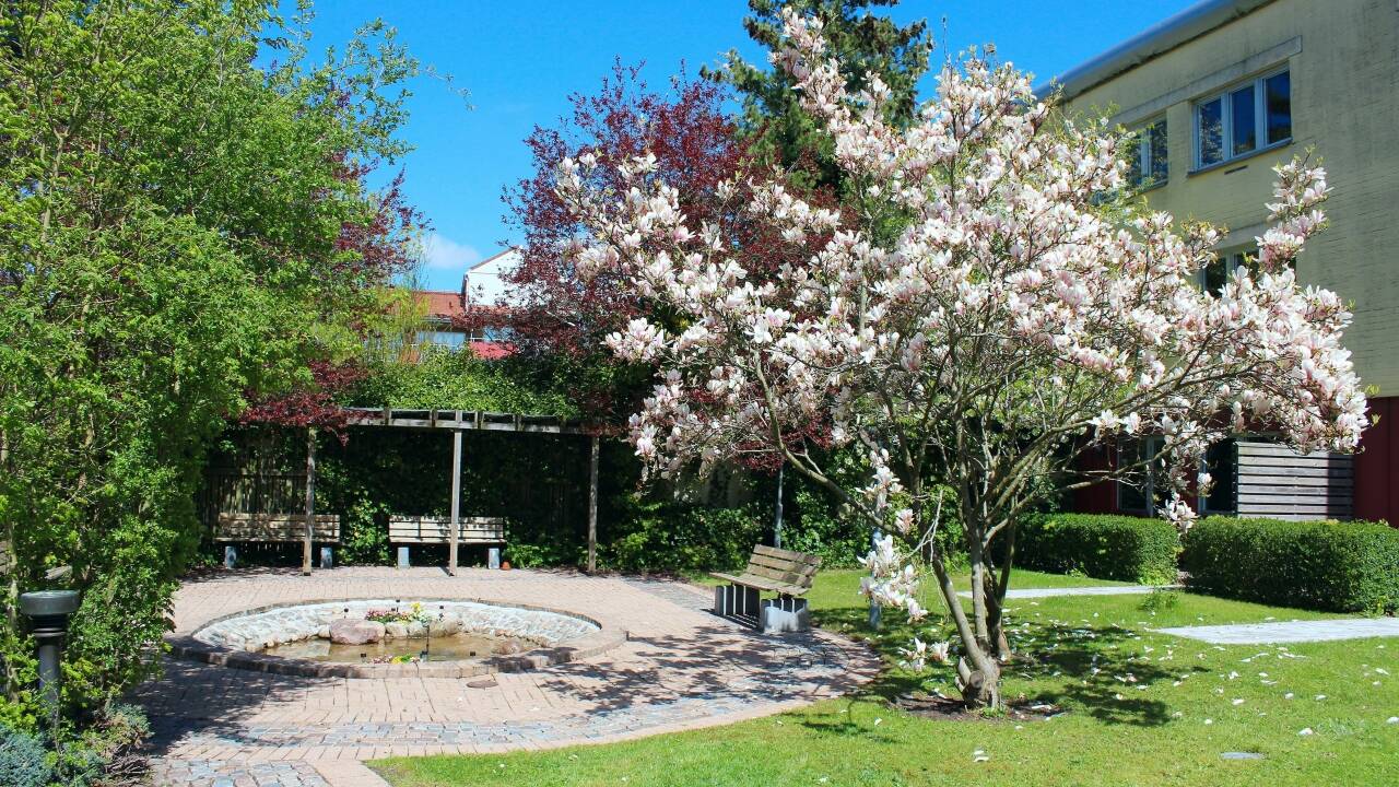 Hotellet har sin egen dejlige have. Perfekt til en snack, hvis vejret tillader det.