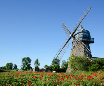 Öland ist für seine vielen holländischen Windmühlen bekannt, die um das Jahr 1860 auf die Insel kamen.
