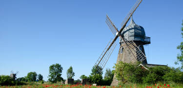 Öland ist für seine vielen holländischen Windmühlen bekannt, die um das Jahr 1860 auf die Insel kamen.