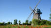 The Dutch windmills started to appear in Öland around 1860 and have since grown in number.