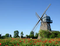 Öland ist für seine vielen holländischen Windmühlen bekannt, die um das Jahr 1860 auf die Insel kamen.