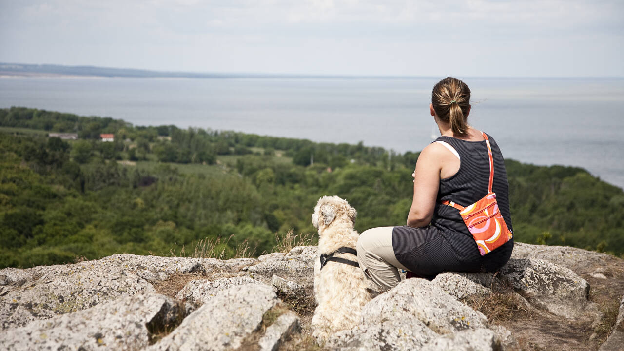 Hunde und Assistenztiere sind in dieser tierfreundlichen Unterkunft herzlich willkommen.