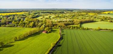 Utforska Holsteinska Schweiz till fots eller hyr en cykel på hotellet och ge er ut på äventyr