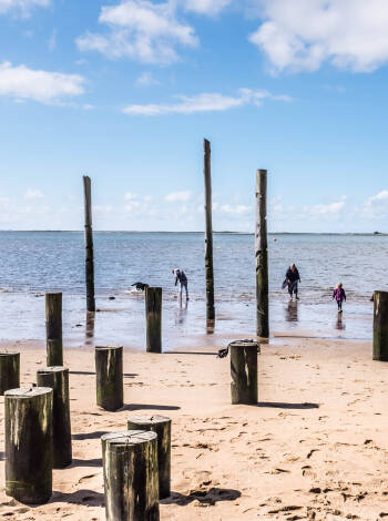 Visit the beautiful and famous Hjerting Beach.