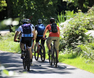 Hotellets beliggenhet gir dere et perfekt utgangspunkt for å utforske Naturpark Harz i all sin prakt